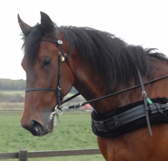 Quality Queastioned 140507